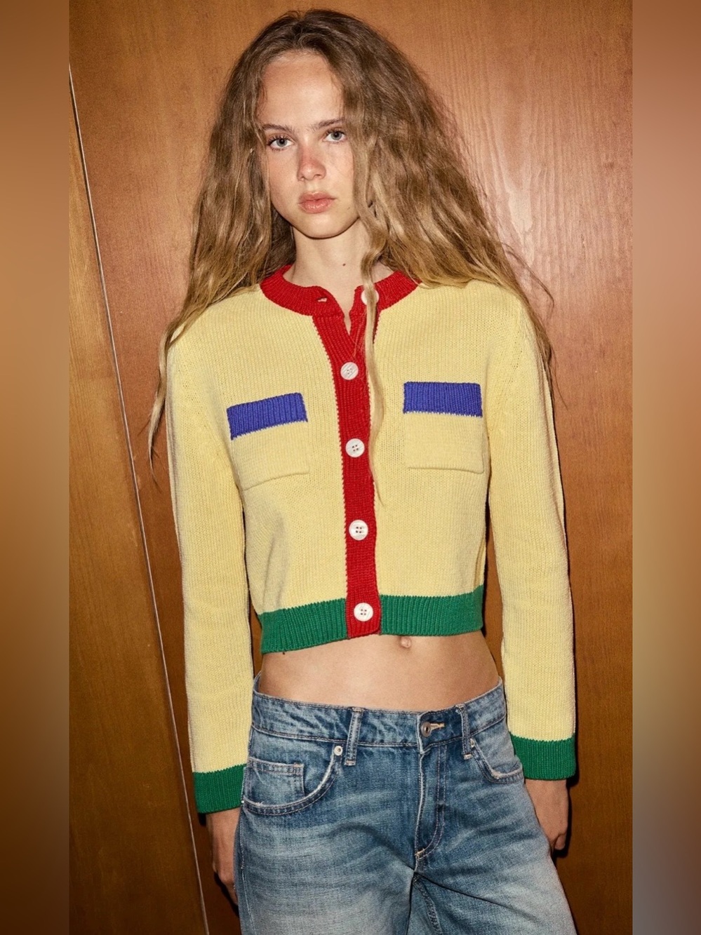 Zara NWT Colorblock Button Front Knit Cardigan